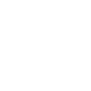 Lietuvos skausmo draugija logotipas, lsd